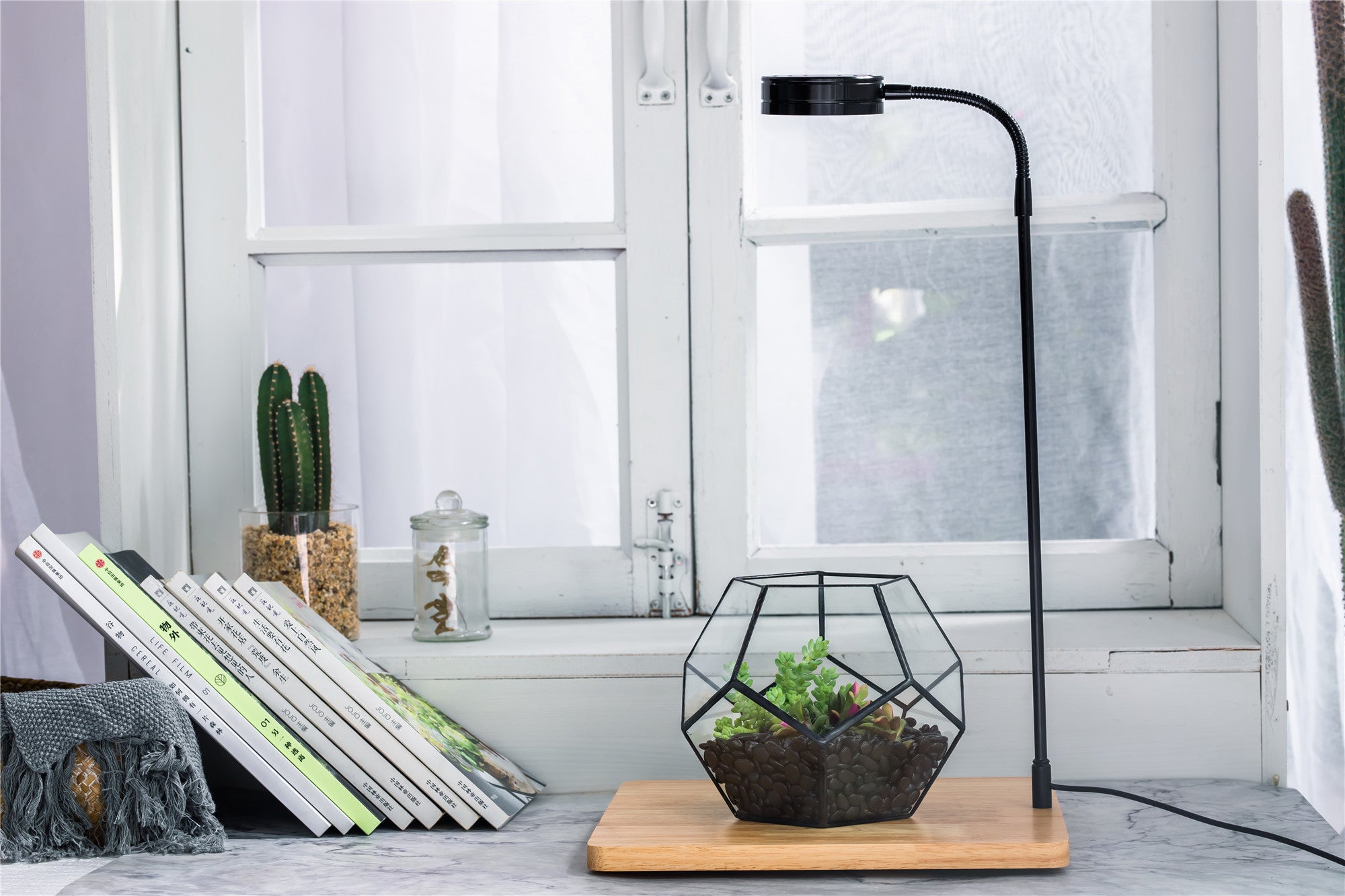 NCYP Tabletop Natural Wood Board LED Succulents Grow Light Display Indoor 2prong 7W for Geometric Glass Terrarium Succulent Fern Bonsai - NCYPgarden