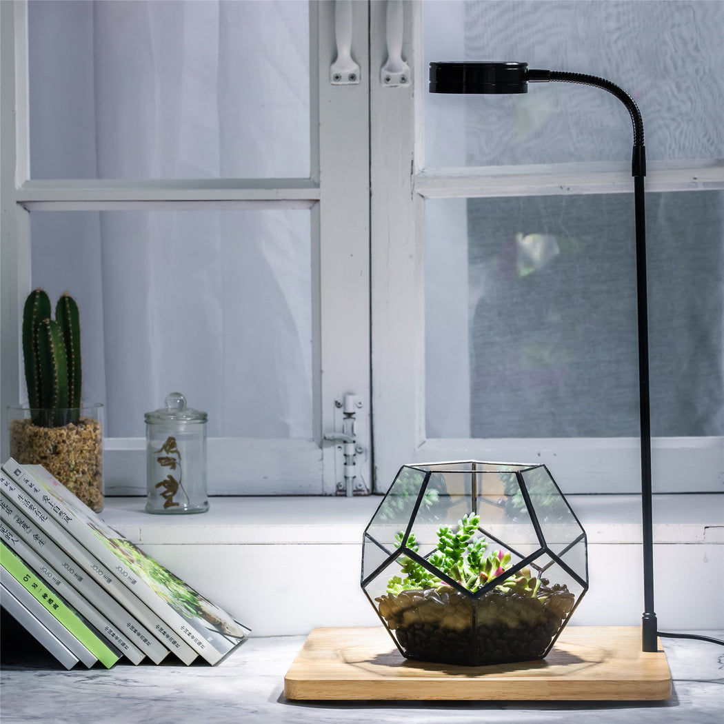 NCYP Tabletop Board USB LED Succulents Grow Light Display Indoor Terrarium  for Succulents Moss