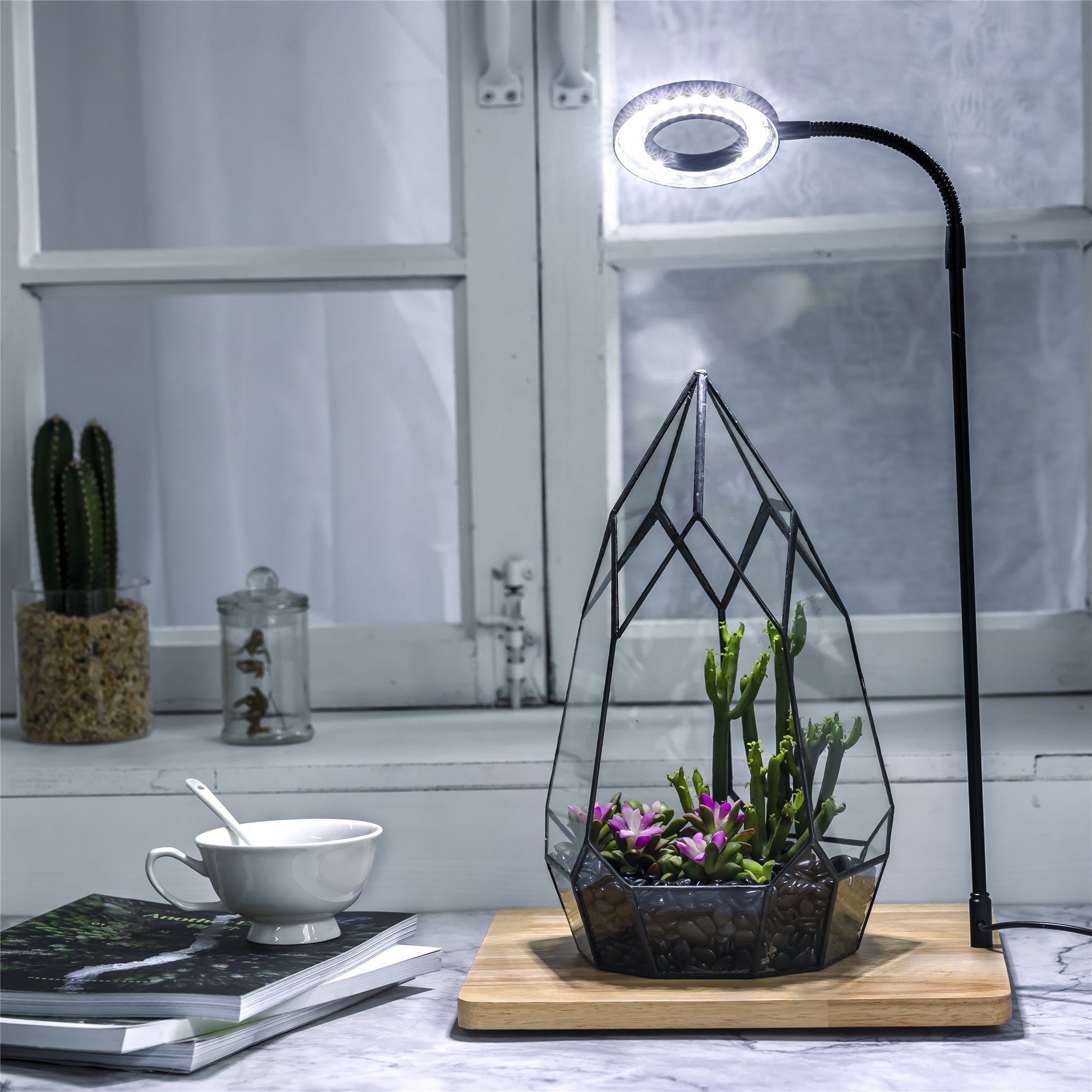 indoor succulent lamp NCYP Tabletop Board USB LED Succulents Grow Light Display Indoor Terrarium for Succulents Moss