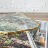 Wall Hanging Long Octagon Herbarium Brass Glass Frame for Pressed Flowers Dried floating Frame - NCYPgarden