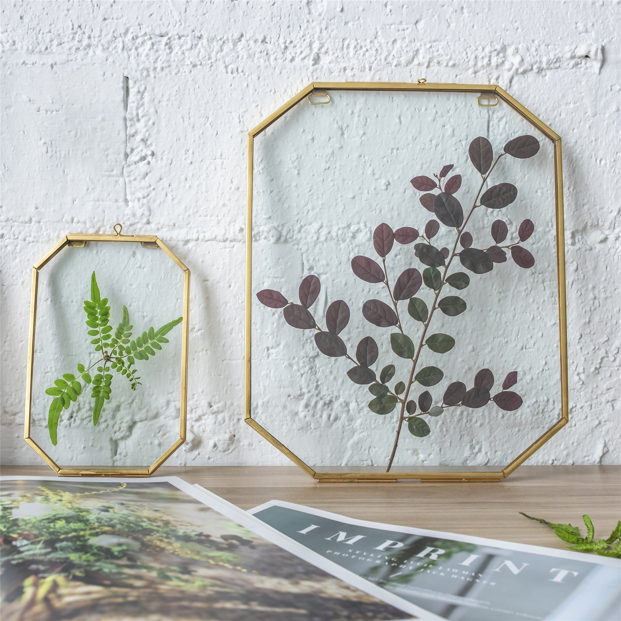 Large Wall Hanging Long Octagon Herbarium Brass Glass Frame for Pressed Flowers Dried floating Frame FO01T3 - NCYPgarden