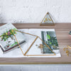 Hanging Triangle Herbarium Brass Glass Frame for Pressed Flowers Dried Flowers Poster - NCYPgarden