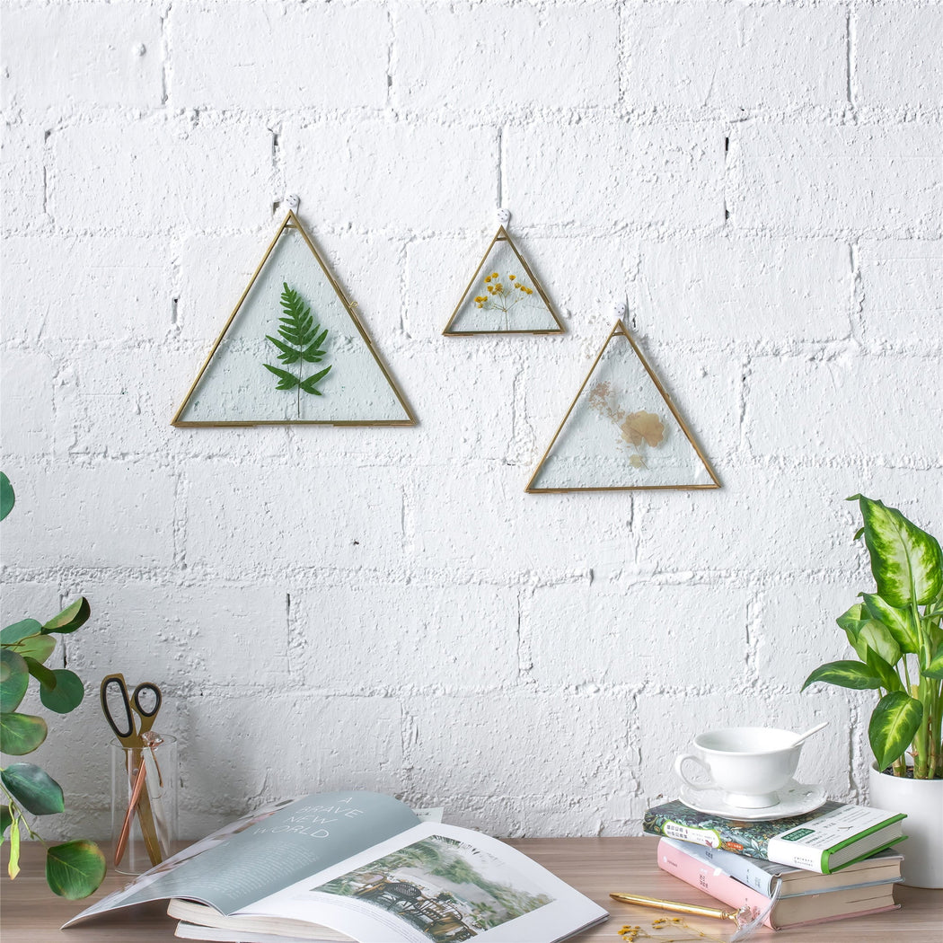 Hanging Triangle Herbarium Brass Glass Frame for Pressed Flowers Dried Flowers Poster - NCYPgarden