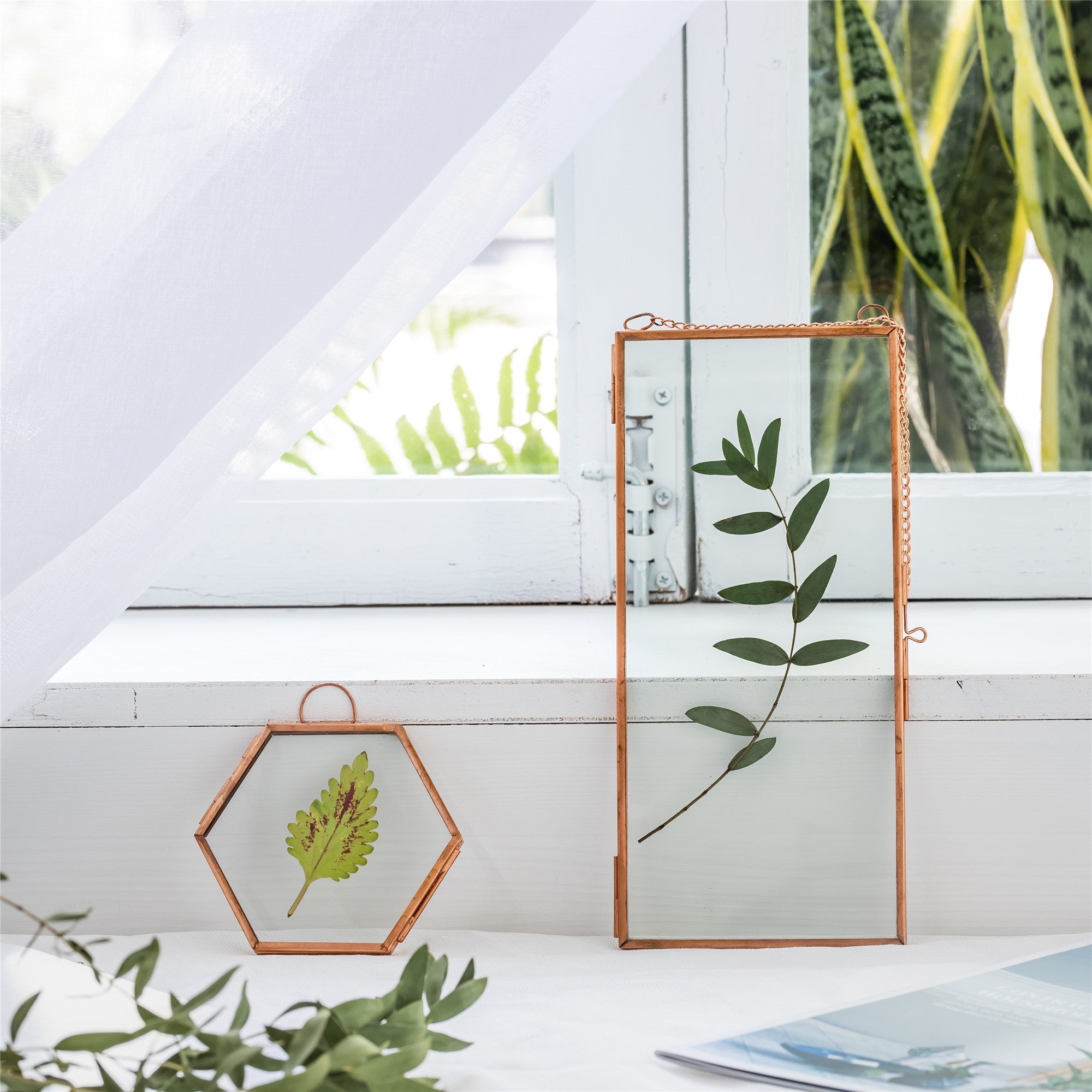 hanging frame for plants NCYP 4x9 inchs Clear Glass Picture Frame Wall Hanging Certificate Photo Plant Specimen Clip