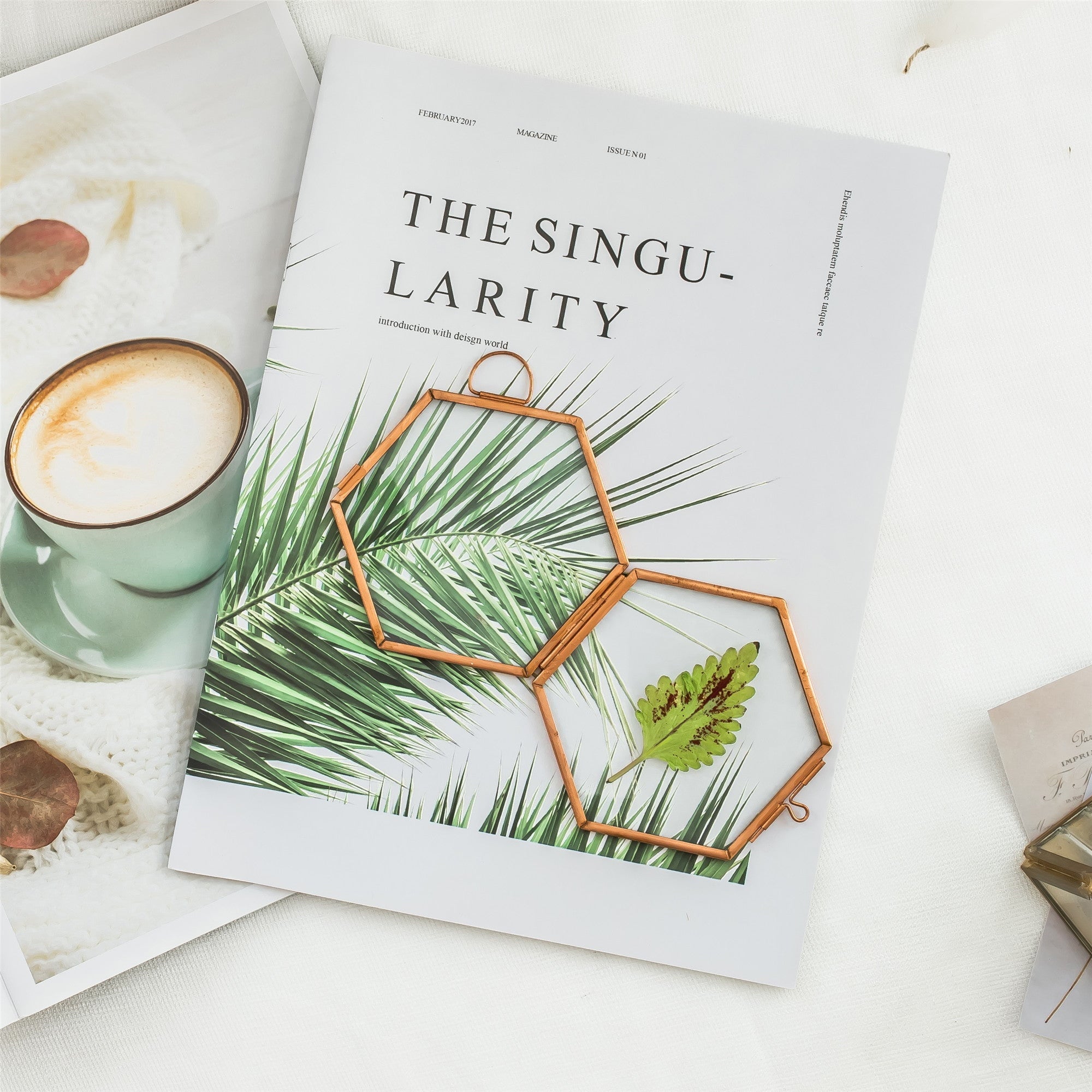 Hanging Small Pink Hexagon Herbarium Copper Glass Frame for Pressed Flowers Dried Flowers - NCYPgarden