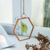 Hanging Small Pink Hexagon Herbarium Copper Glass Frame for Pressed Flowers Dried Flowers - NCYPgarden