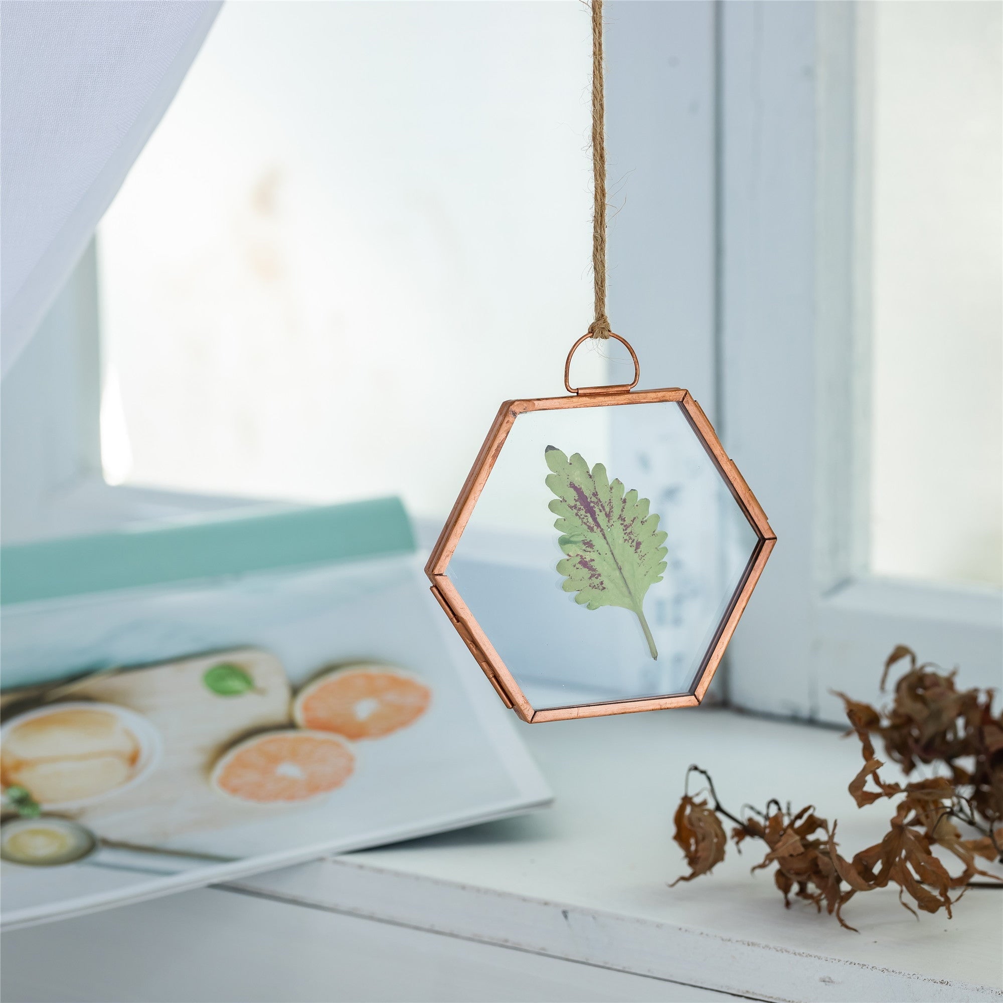 Hanging Small Pink Hexagon Herbarium Copper Glass Frame for Pressed Flowers Dried Flowers - NCYPgarden