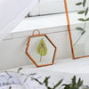 Hanging Small Pink Hexagon Herbarium Copper Glass Frame for Pressed Flowers Dried Flowers - NCYPgarden