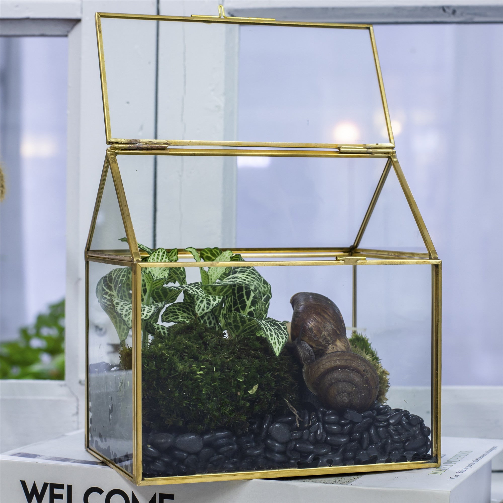 Handmade NCYP Geometric Glass Gold Terrarium Box House Shape, Close, Tabletop, Swing Lid for Air Plants Moss Snail Reptile Habitat - NCYPgarden