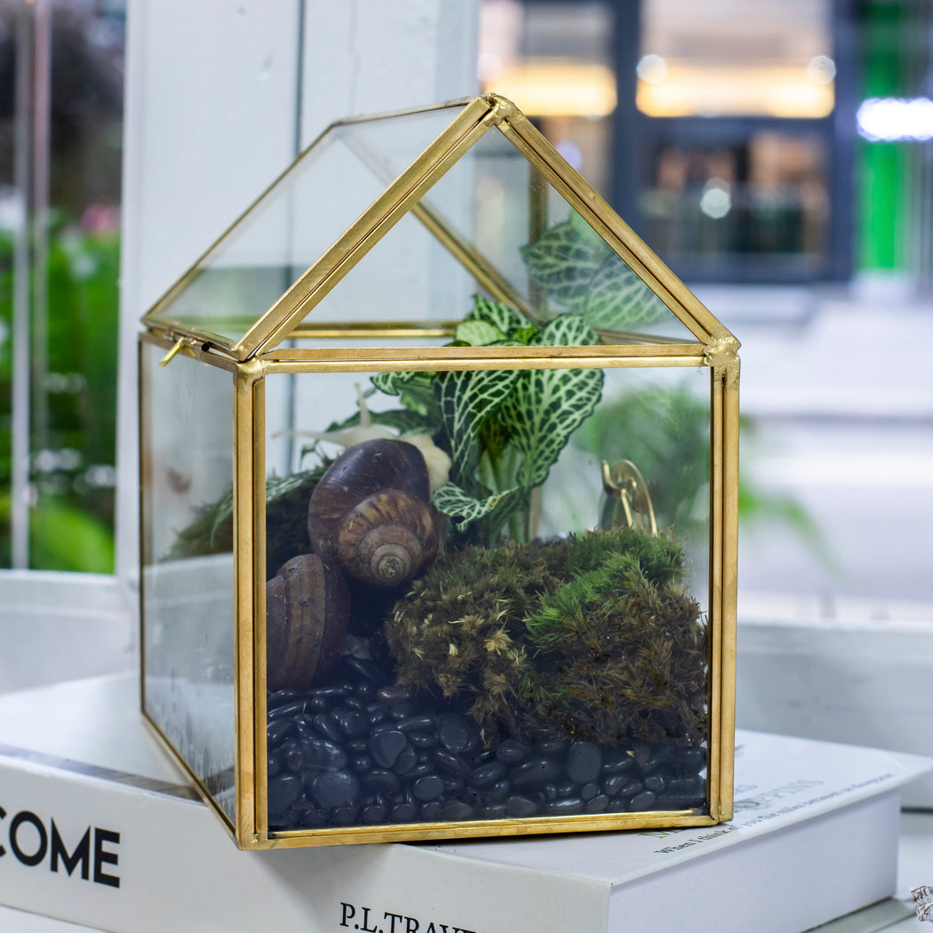 Handmade NCYP Geometric Glass Gold Terrarium Box House Shape, Close, Tabletop, Swing Lid for Air Plants Moss Snail Reptile Habitat - NCYPgarden