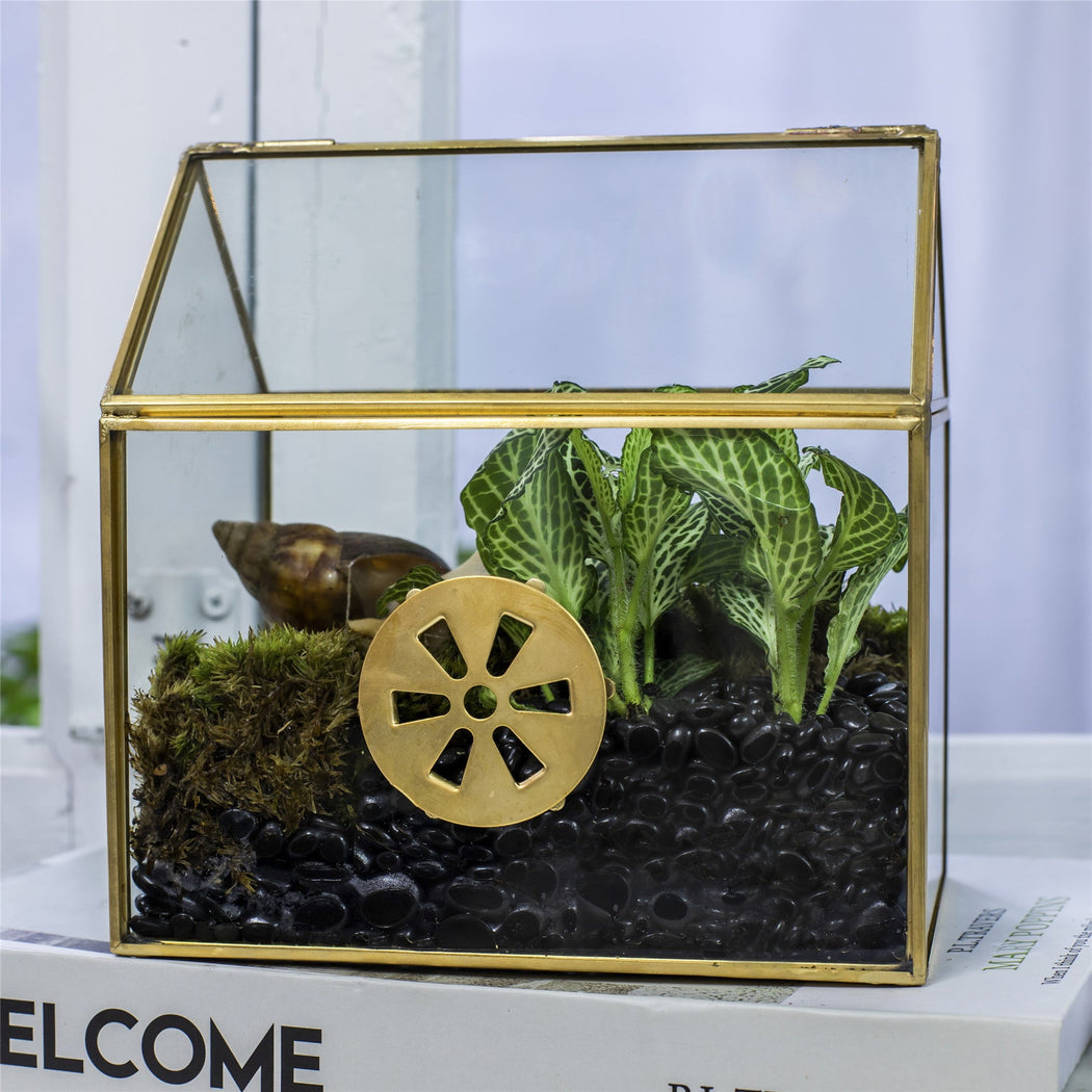 Handmade NCYP Geometric Glass Gold Terrarium Box House Shape, Close, Tabletop, Swing Lid for Air Plants Moss Snail Reptile Habitat - NCYPgarden