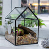 Handmade NCYP Geometric Glass Black Terrarium Box House Shape Close, Tabletop, Swing Lid  for Air Plants Moss Snail Reptile Habitat - NCYPgarden