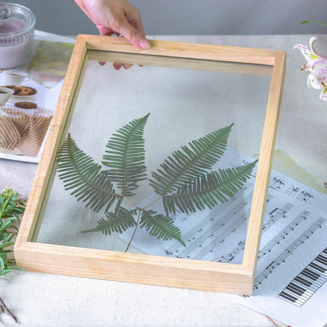 NCYP Handmade Tabletop Wall Hanging Natural Wood Tempered Glass Acrylic Panel Floating Frame - NCYPgarden