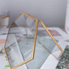 NCYP Vintage Gold Brass Floating Hanging Glass Long Hexagon Photo Frame for Fern, Pressed Flower - NCYPgarden