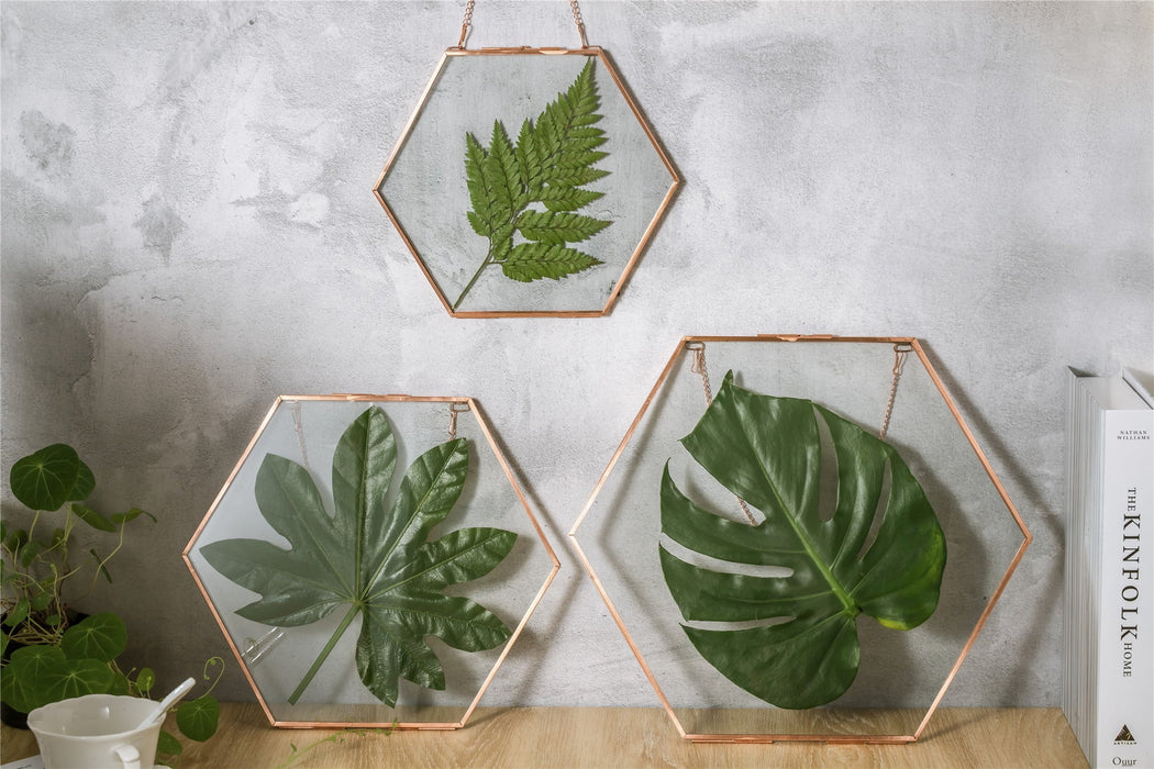 Hanging Hexagon Herbarium Copper Glass Frame for Pressed Flowers Dried Flowers Floating Frame - NCYPgarden