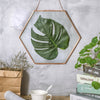 Hanging Hexagon Herbarium Copper Glass Frame for Pressed Flowers Dried Flowers Floating Frame - NCYPgarden