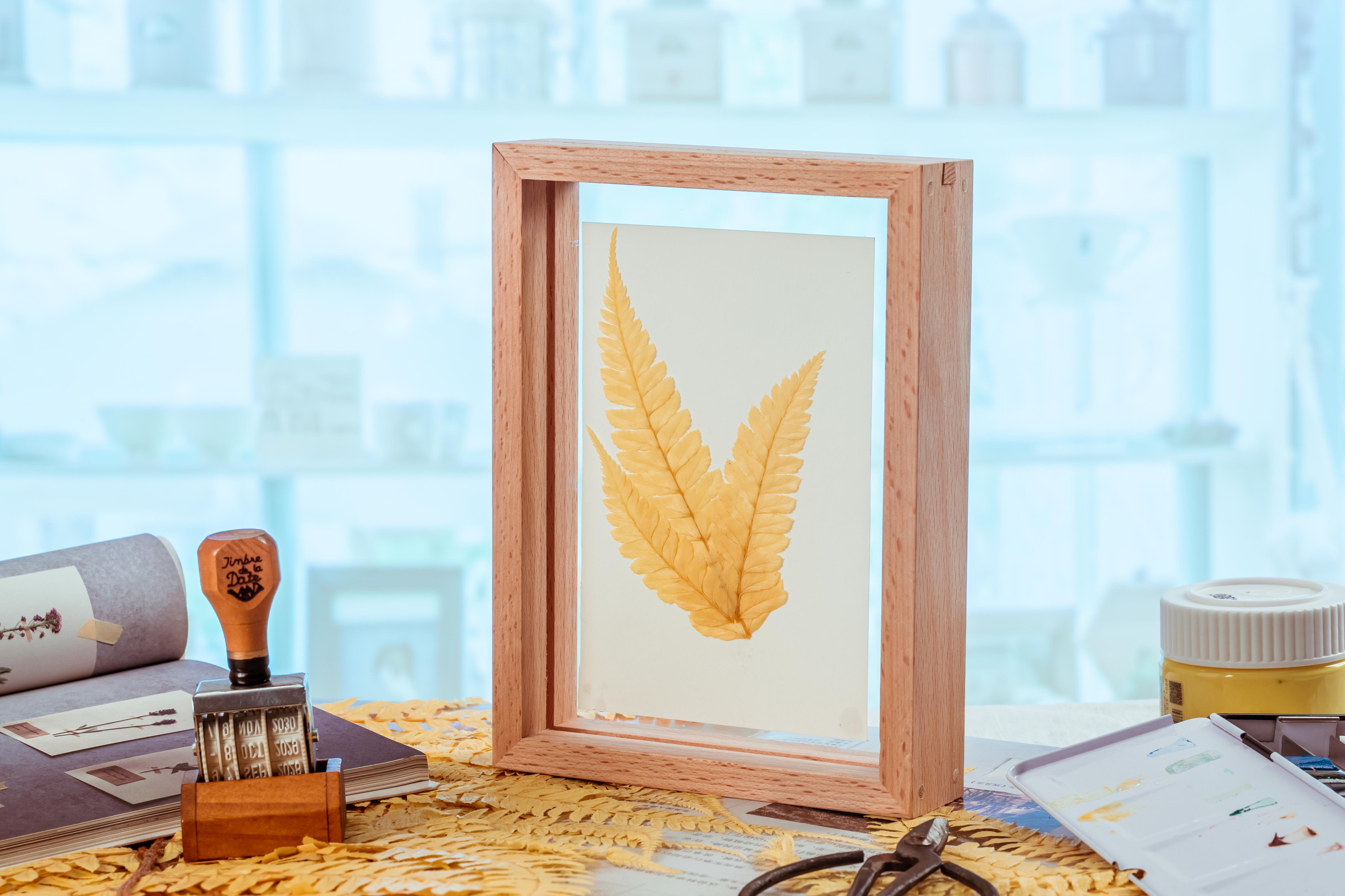 Preserved Pressed Flower Large Fern Branch Parathelypteris Glanduligera, Gold,  5 pcs,  55cm long, 35cm width, DIY material - NCYPgarden