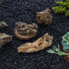 Black Natural Polished Pebbles for Terrarium, Bonsai, Small Planters, Moss, Fern, Succulents - NCYPgarden