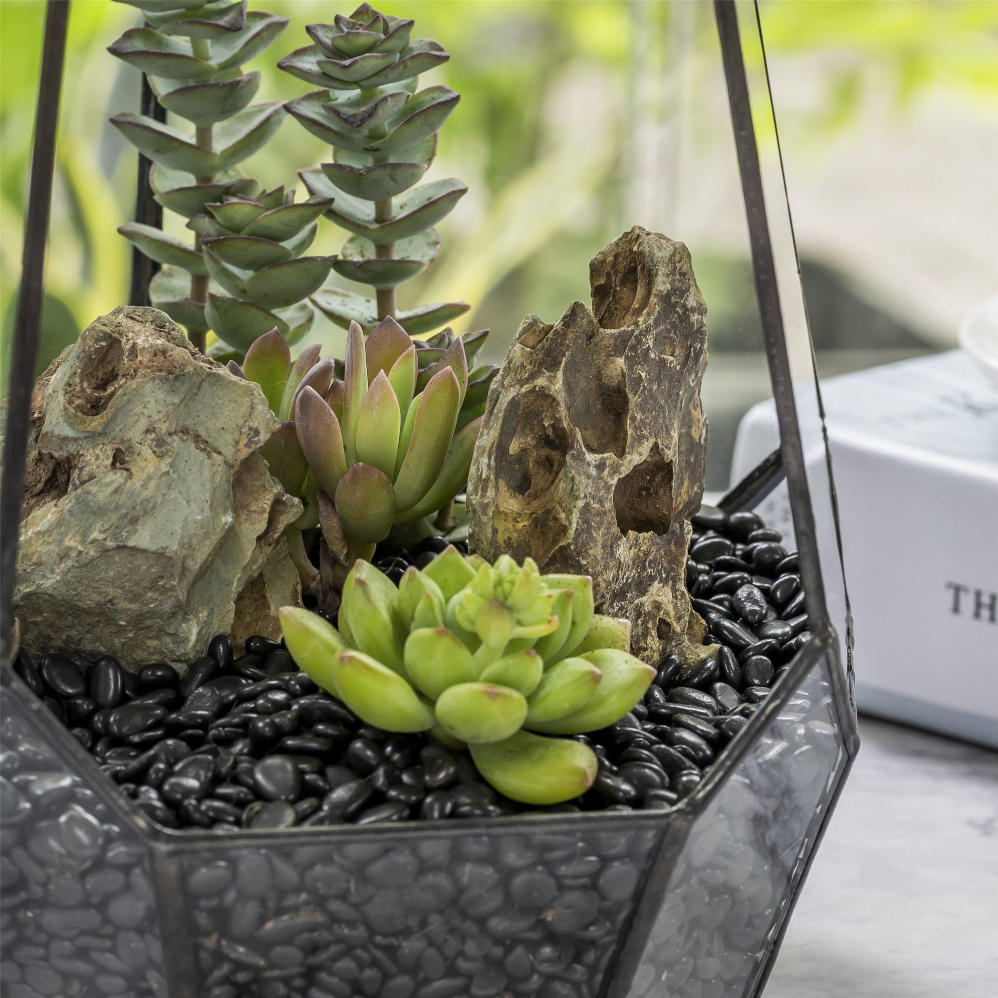 succulent plant pebbles Black Natural Polished Pebbles for Terrarium, Bonsai, Small Planters, Moss, Fern, Succulents
