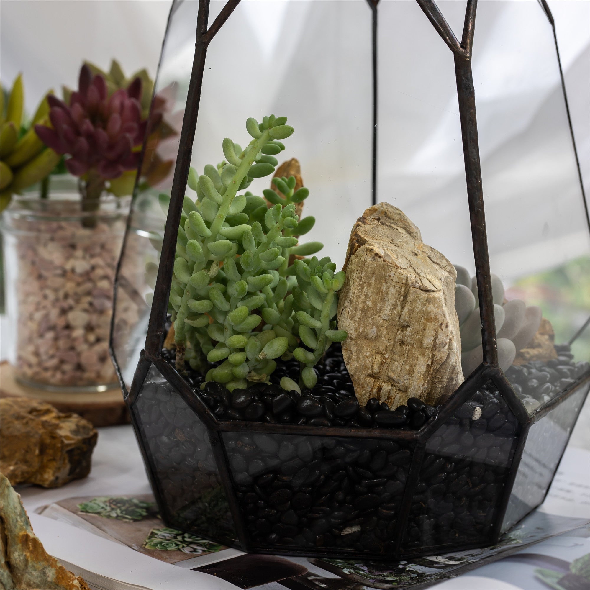 pebbles for succulent pots Black Natural Polished Pebbles for Terrarium – NCYPgarden