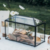 Back Standard/Large Geometric Glass Card Box Terrarium with Slot, Heart Lock, Foot, Handmade Brass for Wedding Receiption Wishwell Keepsake - NCYPgarden