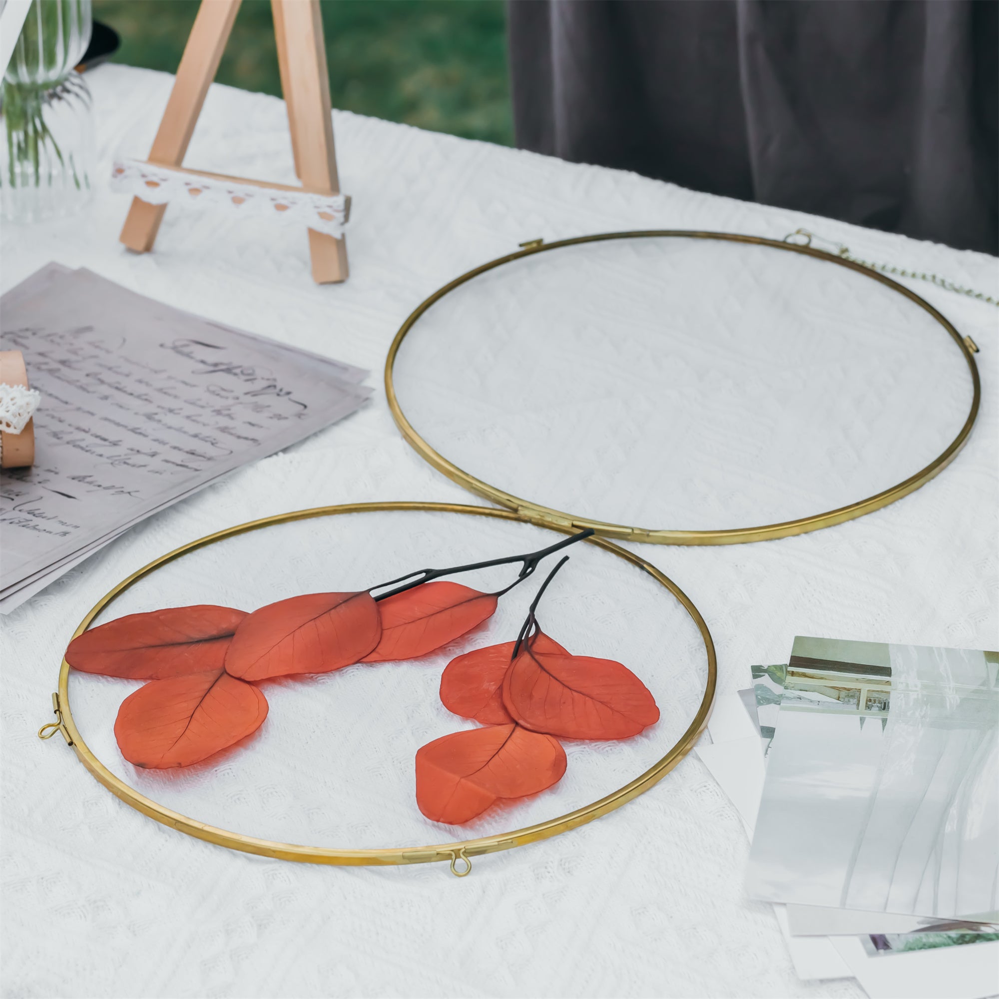 Round 6", 7" 10" 12" gold herbarium brass glass frame, Brass and Glass - NCYPgarden