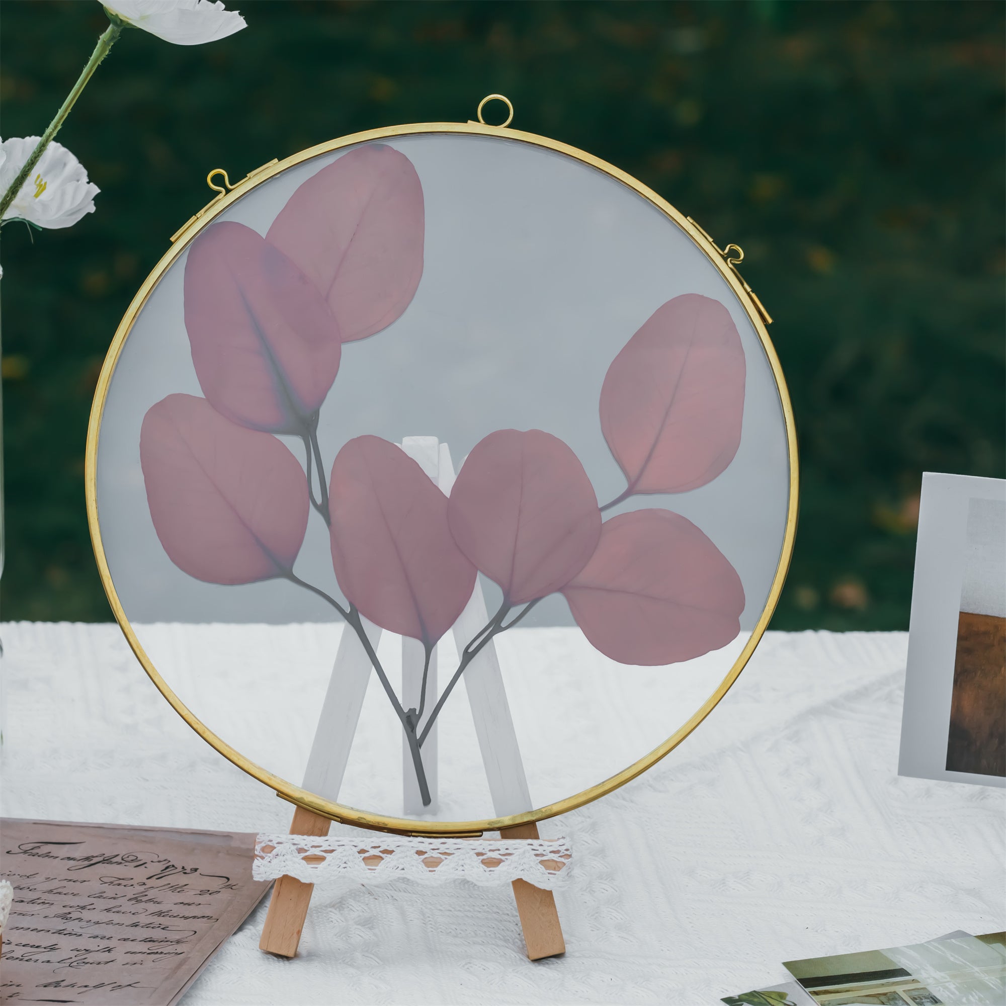 Round 6", 7" 10" 12" gold herbarium brass glass frame, Brass and Glass - NCYPgarden