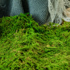 Preserved feature like natural moss, pole moss Green 20x50cm, for DIY moss wall, moss terrarium, moss centerpiece, moss bowl, centerpiece - NCYPgarden