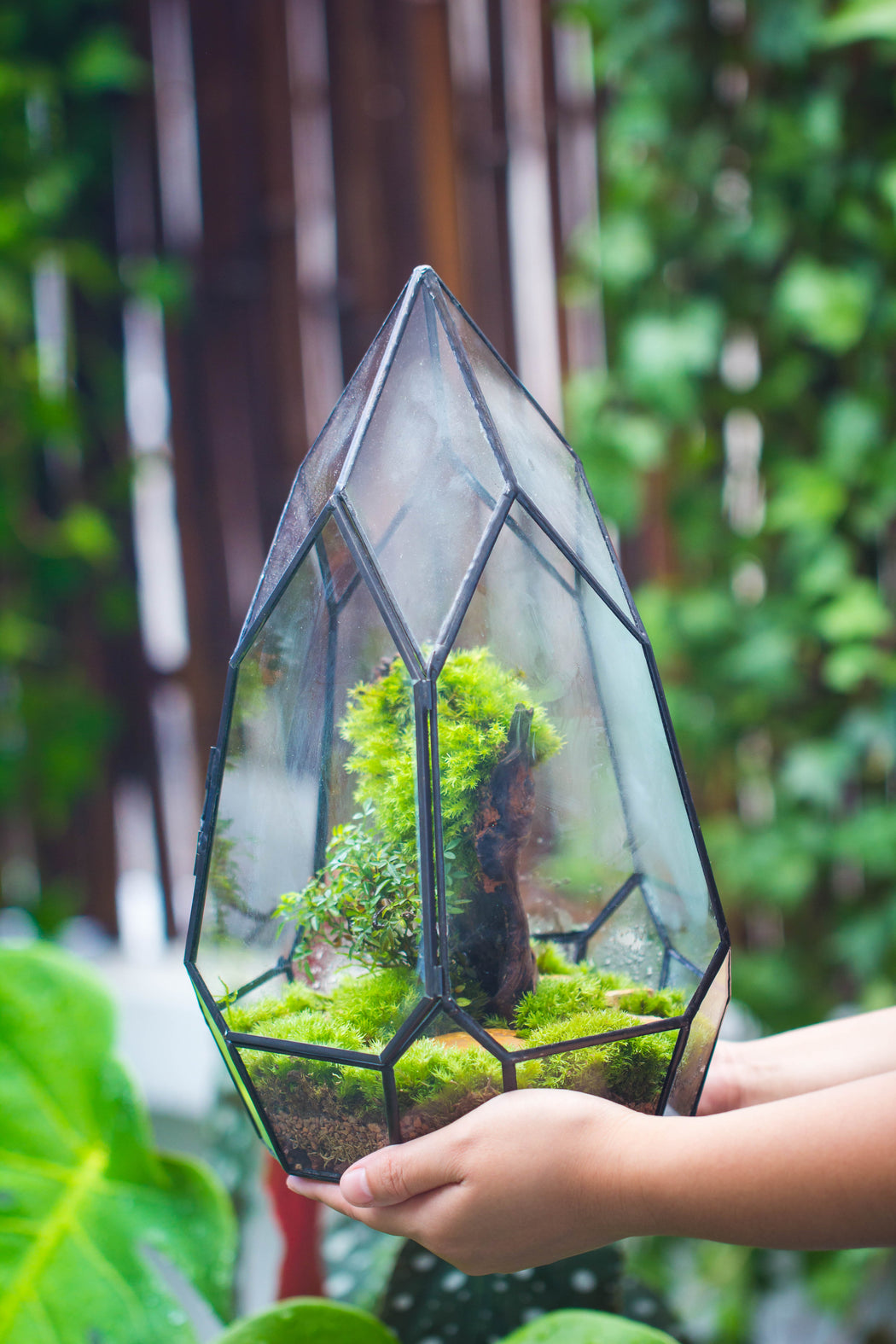 NCYP Irregular Close Geometric Glass Terrarium with door Tall Teardrop Planter Pot Miniature Moss, Tropical Plants Orchid Container - NCYPgarden