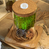 Preserved short moss, pole moss Green 20x50cm, for DIY moss wall, moss terrarium, moss centerpiece, moss bowl, centerpiece - NCYPgarden