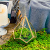 Handmade Hanging Teardrop Shape, Gold, Glass Geomtric Terrarium, Ring Holder Proposal Wedding Ring Box - NCYPgarden
