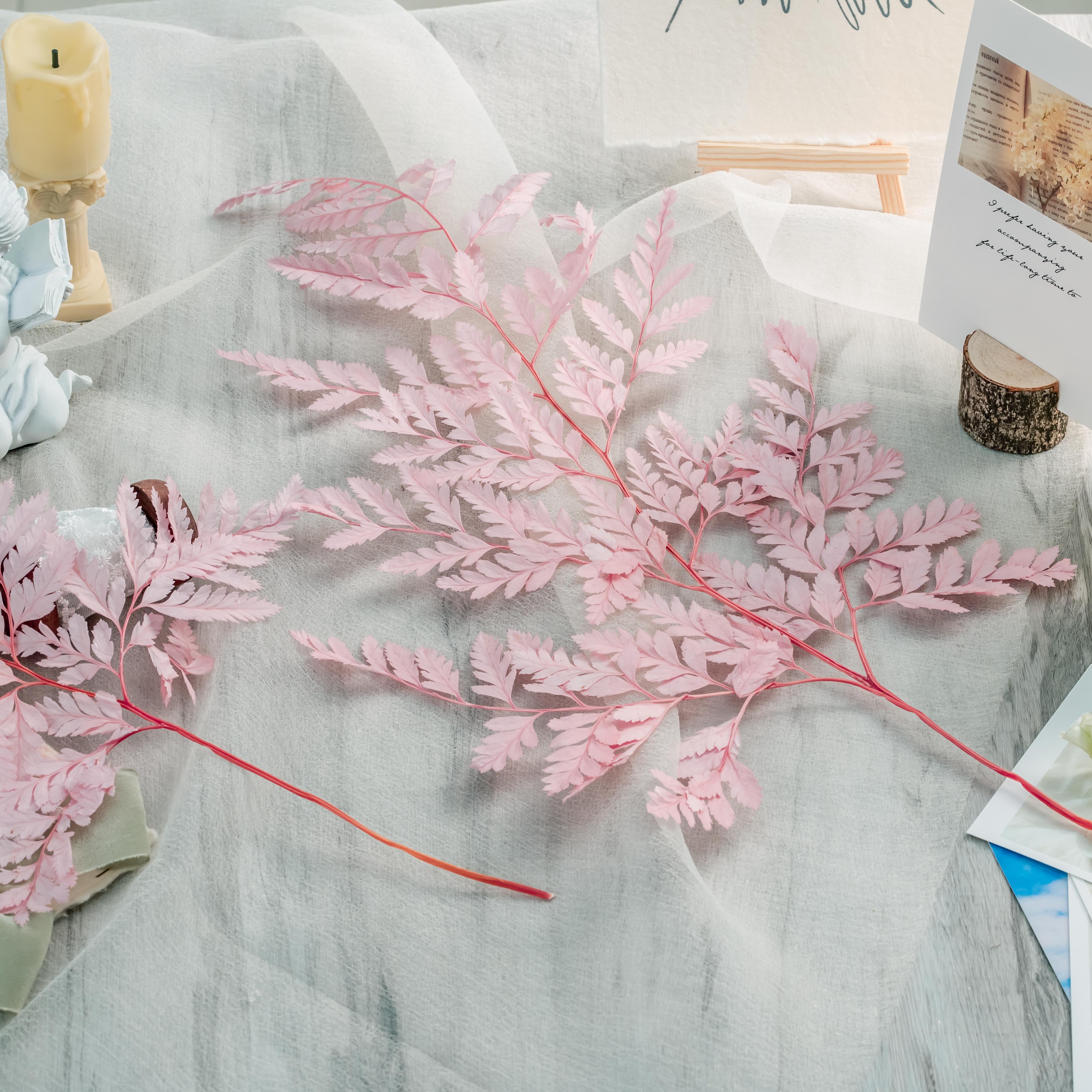 Preserved Pressed Flower Davallia mariesii, Squirrel's Foot Fern Leaf , Multiple Color,  5 pcs,  12inches long, 8inches width, DIY material - NCYPgarden