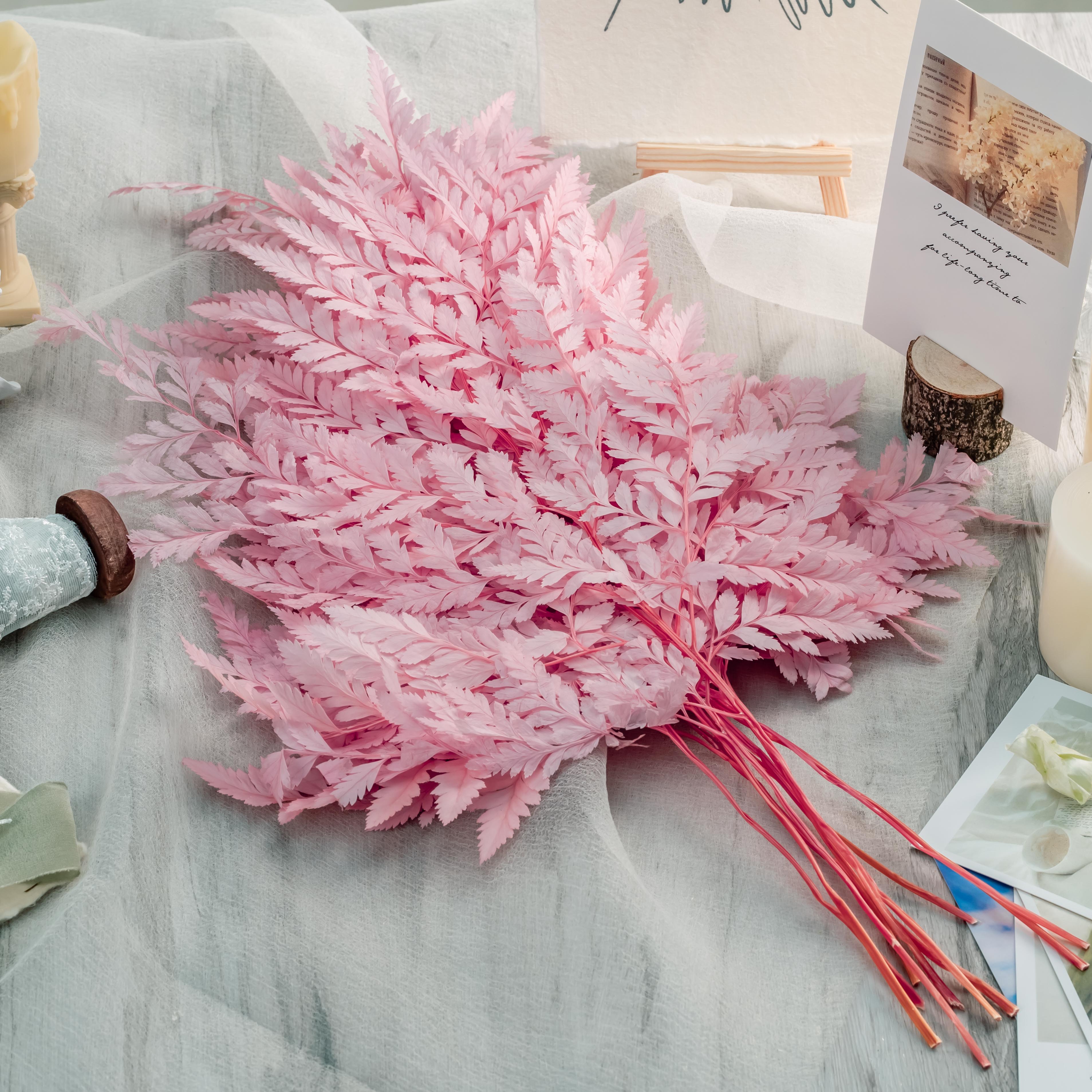 Preserved Pressed Flower Davallia mariesii, Squirrel's Foot Fern Leaf , Multiple Color,  5 pcs,  12inches long, 8inches width, DIY material - NCYPgarden