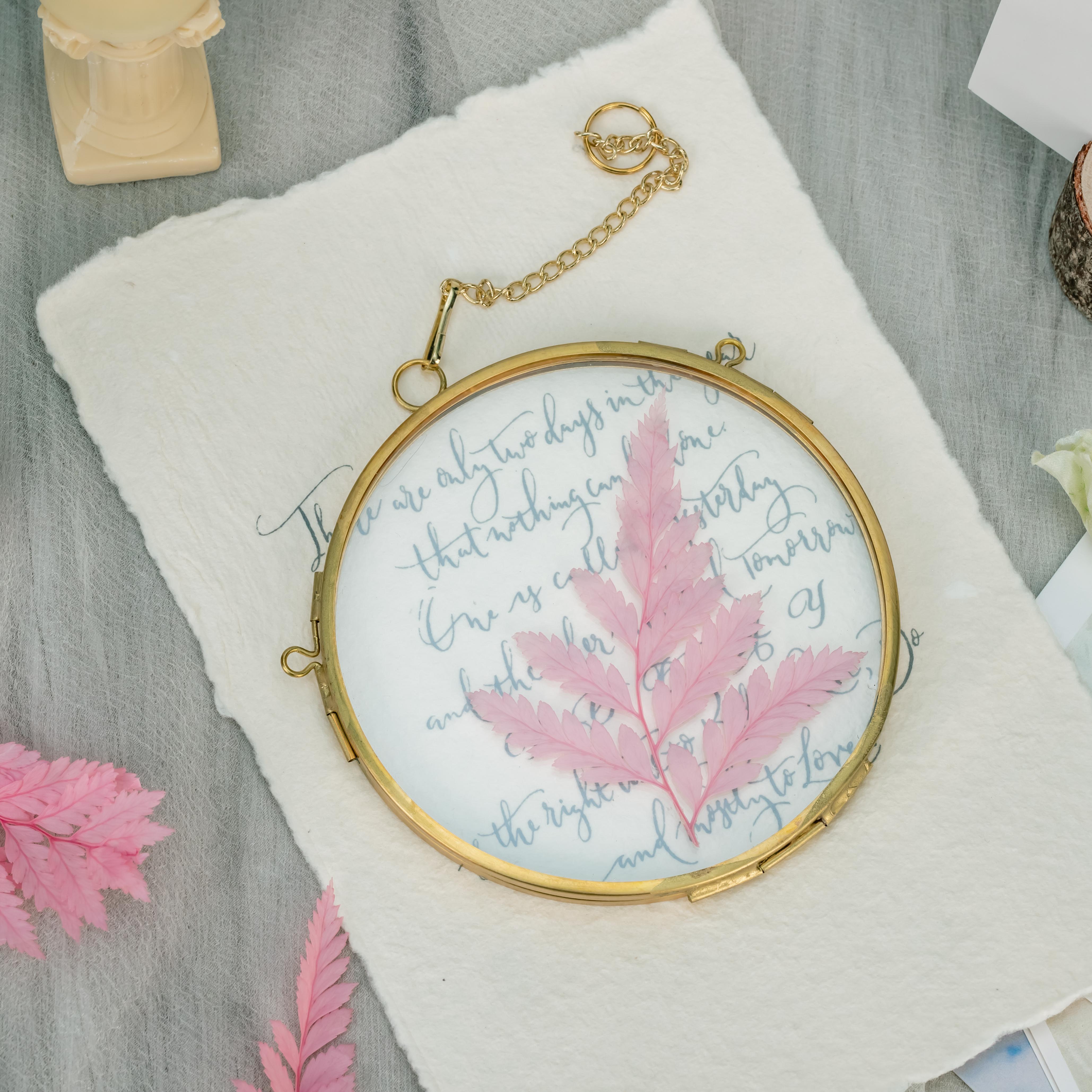 Preserved Pressed Flower Davallia mariesii, Squirrel's Foot Fern Leaf , Multiple Color,  5 pcs,  12inches long, 8inches width, DIY material - NCYPgarden