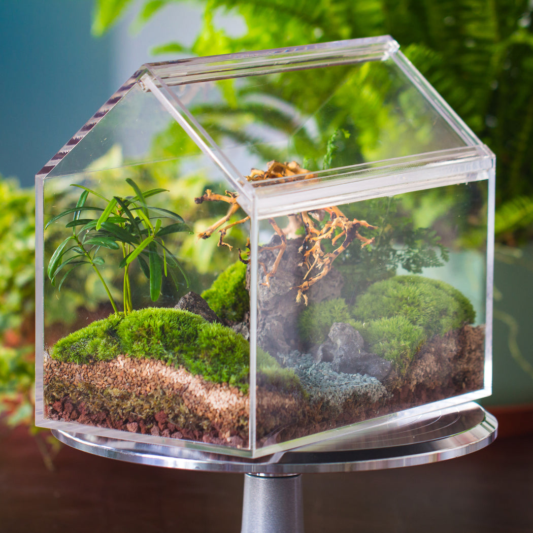handmade water tight, sealed, enclosed, house acrylic terrarium, fish tank,  moss fern terrarium Paludarium Vivarium, 2 lid with vent