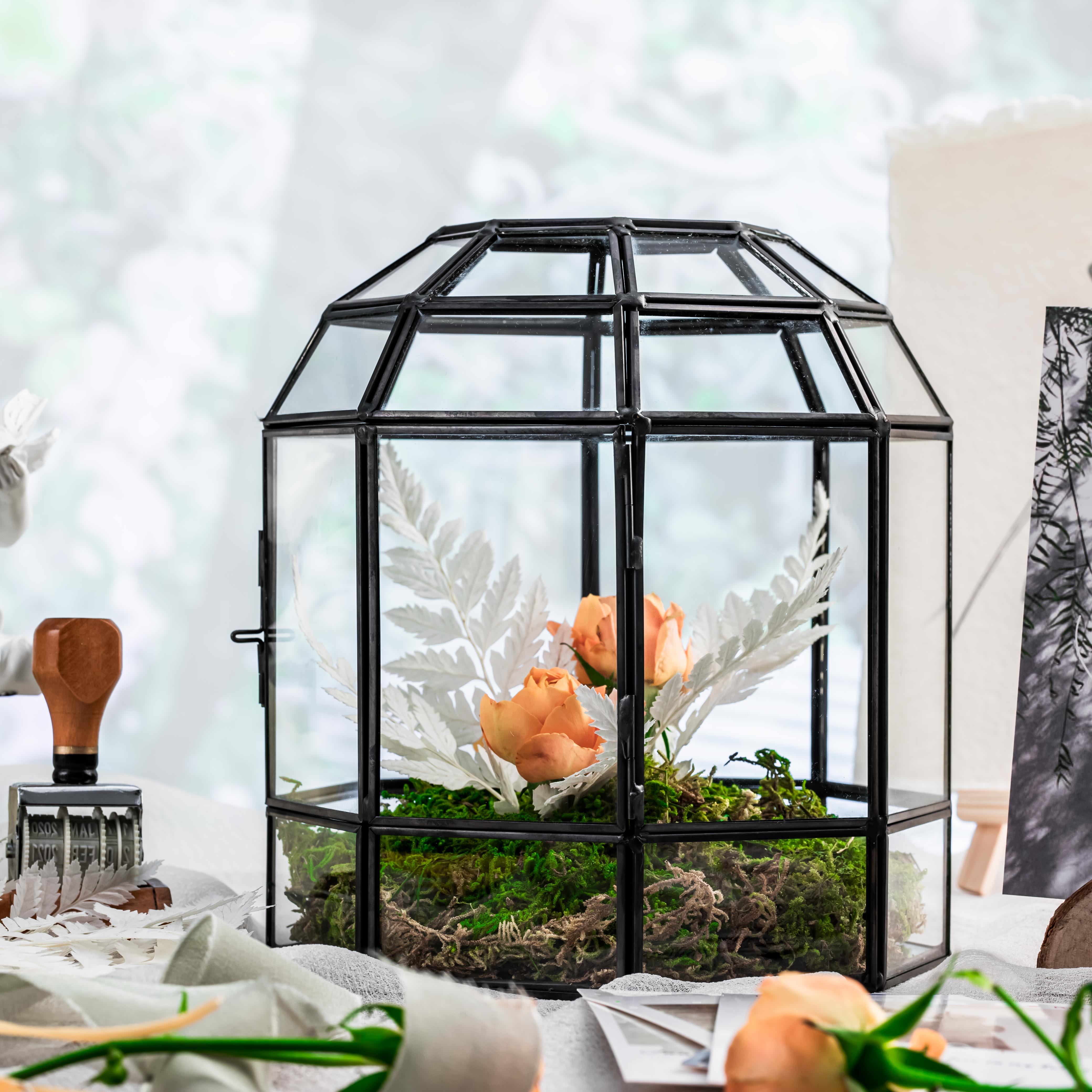 NCYP Dome Geometric Glass Terrarium Round, Closed  Succulents Planter Pot Miniature Dessert Landscape Bonsai Container - NCYPgarden