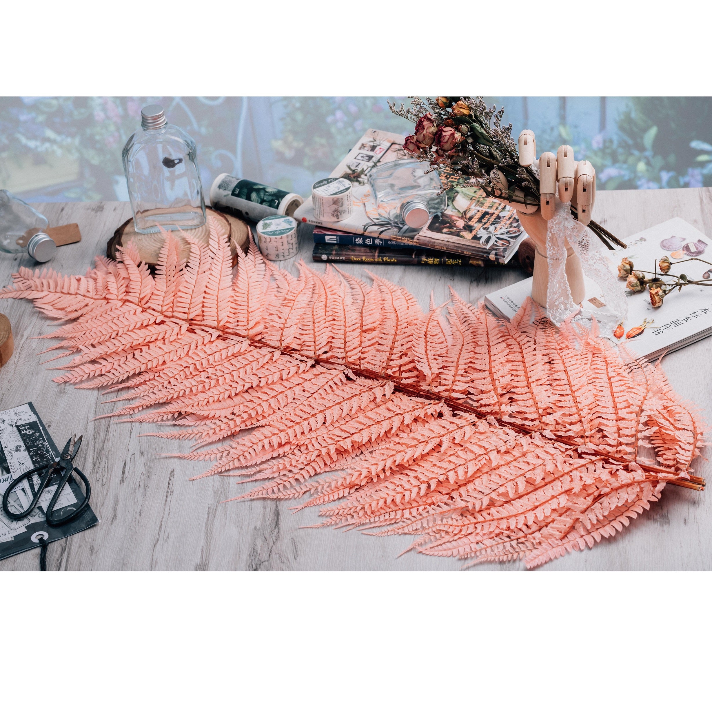 Preserved Pressed Flower Large Fern Branch Parathelypteris Glanduligera, Orange,  5 pcs,  55cm long, 35cm width, DIY material - NCYPgarden