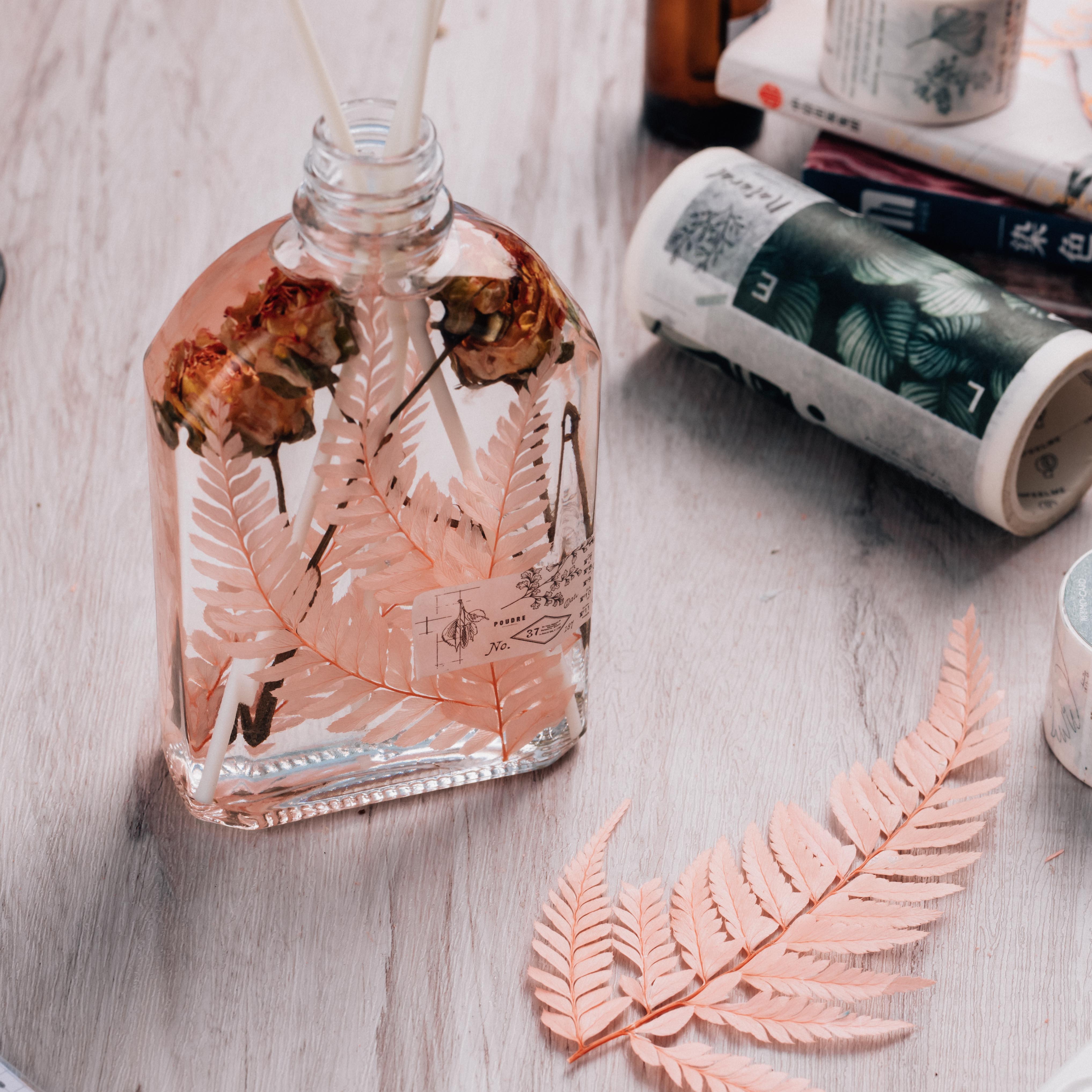 Preserved Pressed Flower Large Fern Branch Parathelypteris Glanduligera, Orange,  5 pcs,  55cm long, 35cm width, DIY material - NCYPgarden