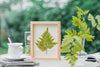 NCYP Handmade Personalized Tabletop Wall Hanging Natural Wood Glass Floating Frame for  Photo - NCYPgarden