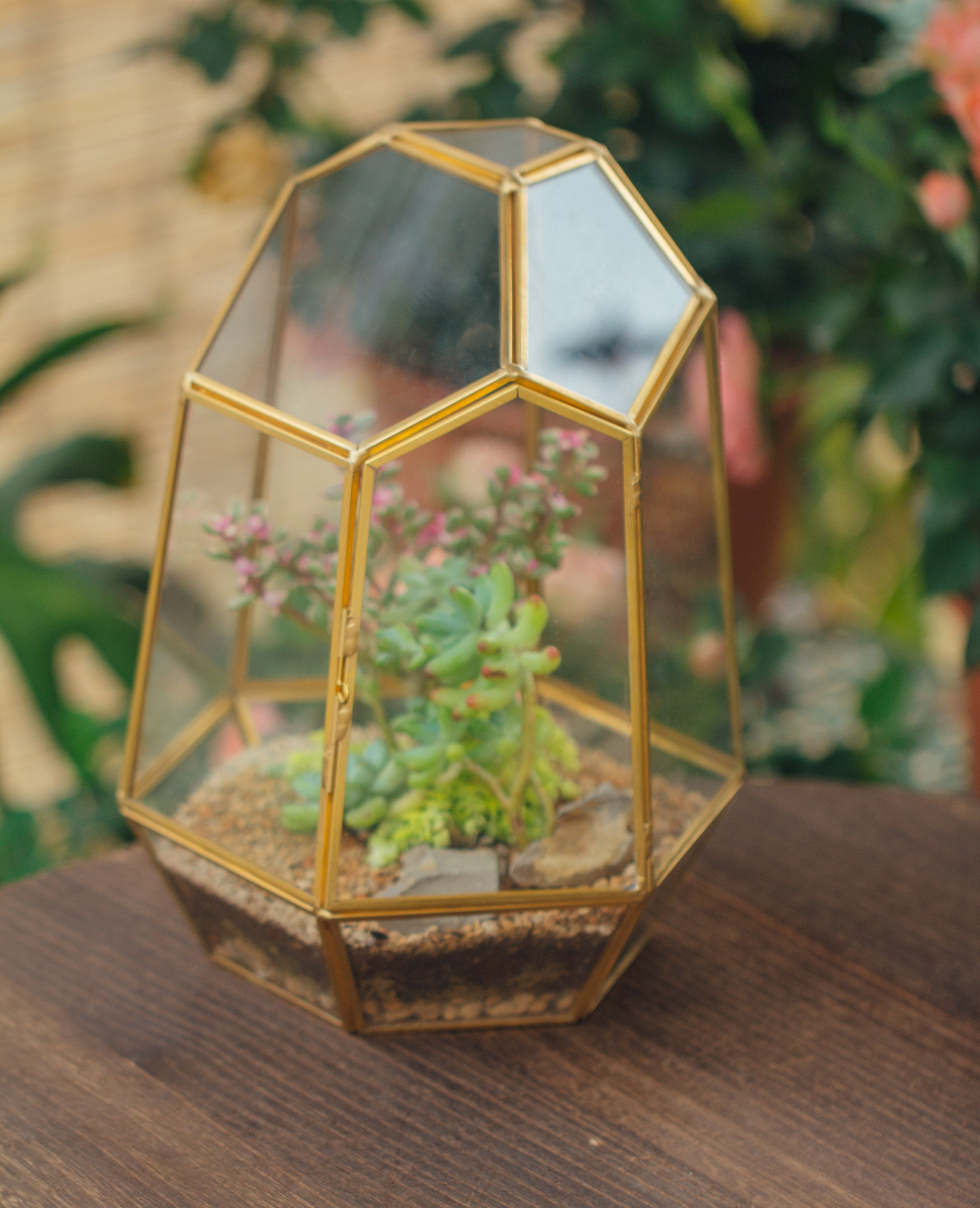 NCYP Close Geometric Glass Terrarium with Door, Brass, Irregular Tall Planter Succulent Cacti Fern Flower Pot - NCYPgarden