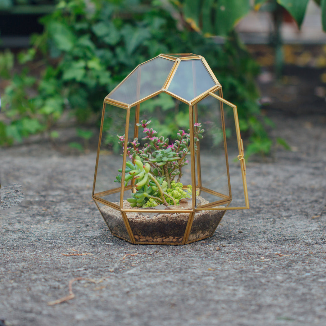 NCYP Close Geometric Glass Terrarium with Door, Brass, Irregular Tall Planter Succulent Cacti Fern Flower Pot - NCYPgarden