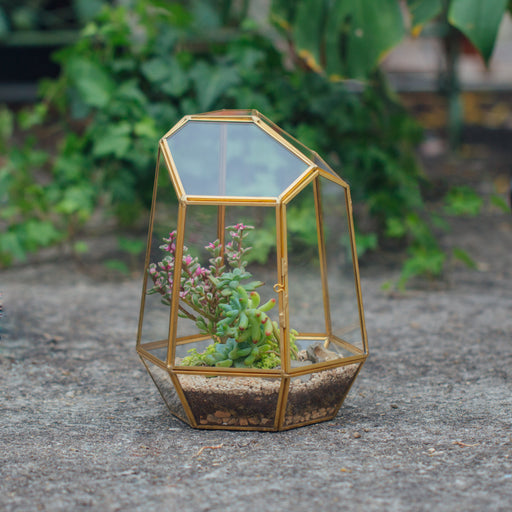 NCYP Close Geometric Glass Terrarium with Door, Brass, Irregular Tall Planter Succulent Cacti Fern Flower Pot - NCYPgarden