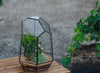 NCYP Close Geometric Glass Terrarium with Door, Tin Sealed Irregular Tall Planter Succulent Cacti Fern Flower Pot - NCYPgarden
