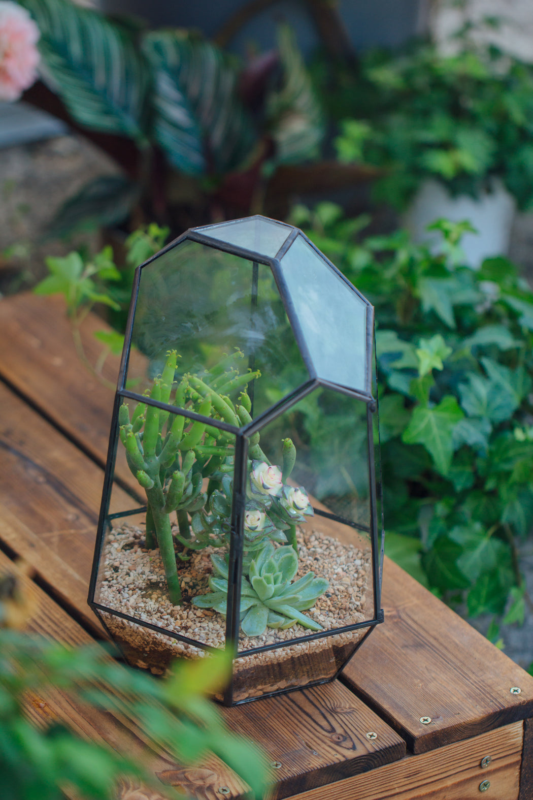 NCYP Close Geometric Glass Terrarium with Door, Tin Sealed Irregular Tall Planter Succulent Cacti Fern Flower Pot - NCYPgarden