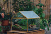 NCYP Handmade Large House Shape , Swing Lid Latch Brass Geometric Glass Terrariumn Box - NCYPgarden