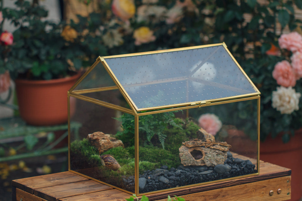 NCYP Handmade Large House Shape , Swing Lid Latch Brass Geometric Glass Terrariumn Box - NCYPgarden