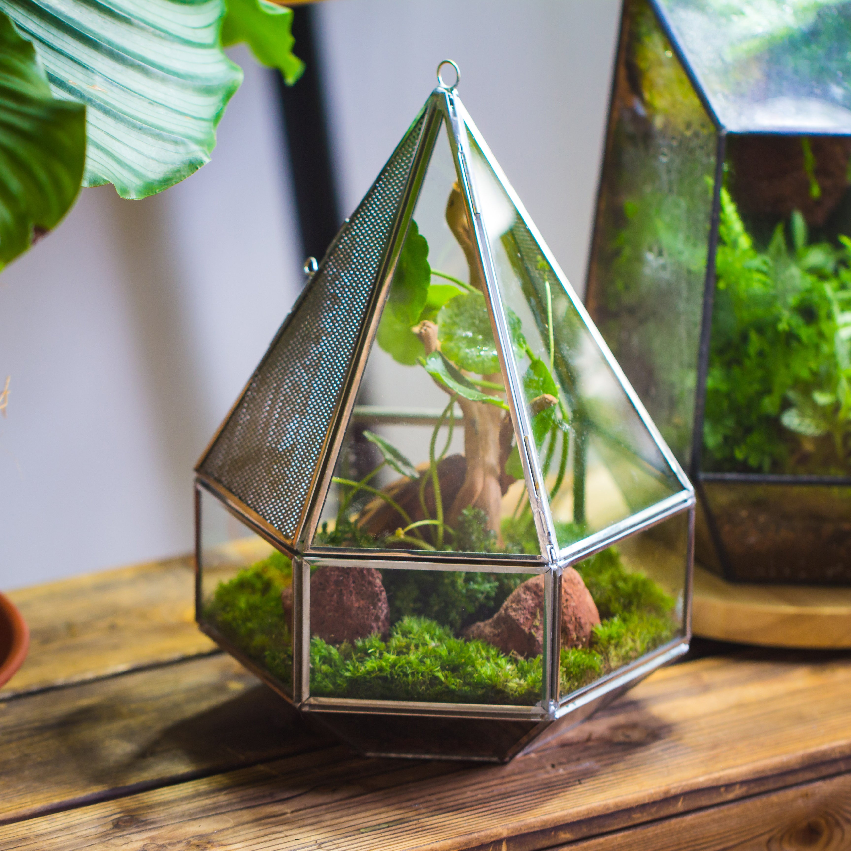 NCYP Hanging Six-surface Diamond Glass Geometric Terrarium, Stainless Steel, Silver, with Mesh for Insect Pet - NCYPgarden