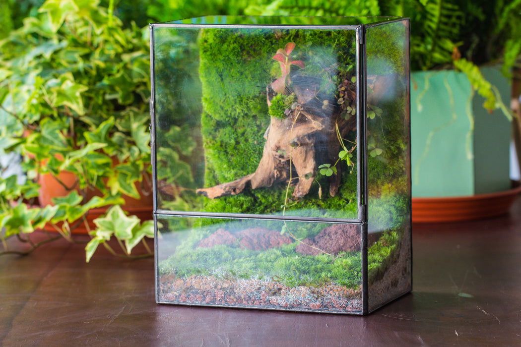 8x12 Close Geometric Glass Terrarium with Door, Tin Sealed Rectangle Tall  Planter for Moss Wall, Fern, Landscape multiple size, No plants