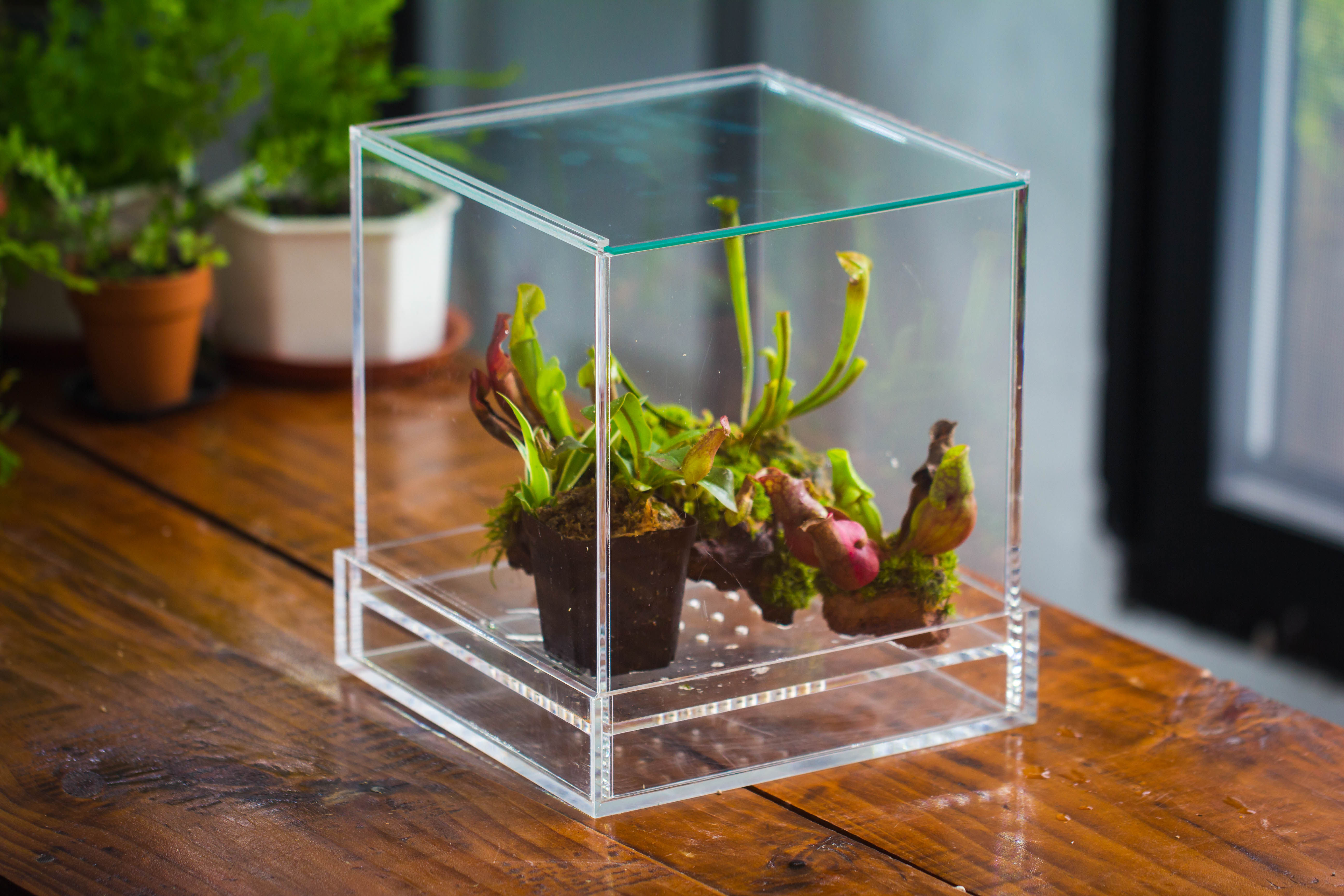 NCYP Acrylic Close terrarium with drainage bottom, suits for Fly Trap, Pitcher Plants, Moss Ball, Nursery, Small tropical Plants - NCYPgarden