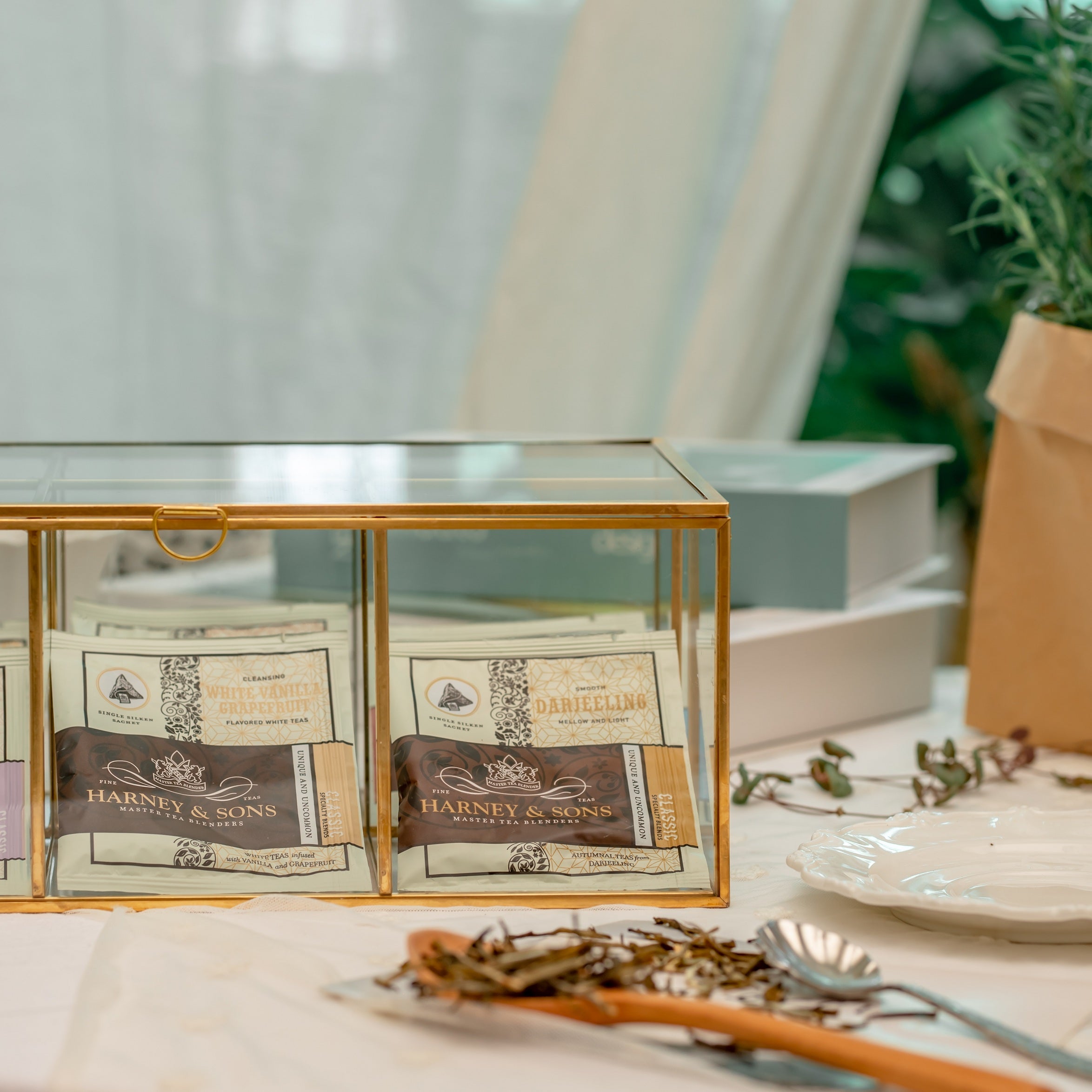 NCYP Glass Terrarium Box Tea Coffee Bag  Storage Organizer Jewelry Counter  6 Grids Compartments Handcrafted Brass for Harney & Sons Tea Bag - NCYPgarden
